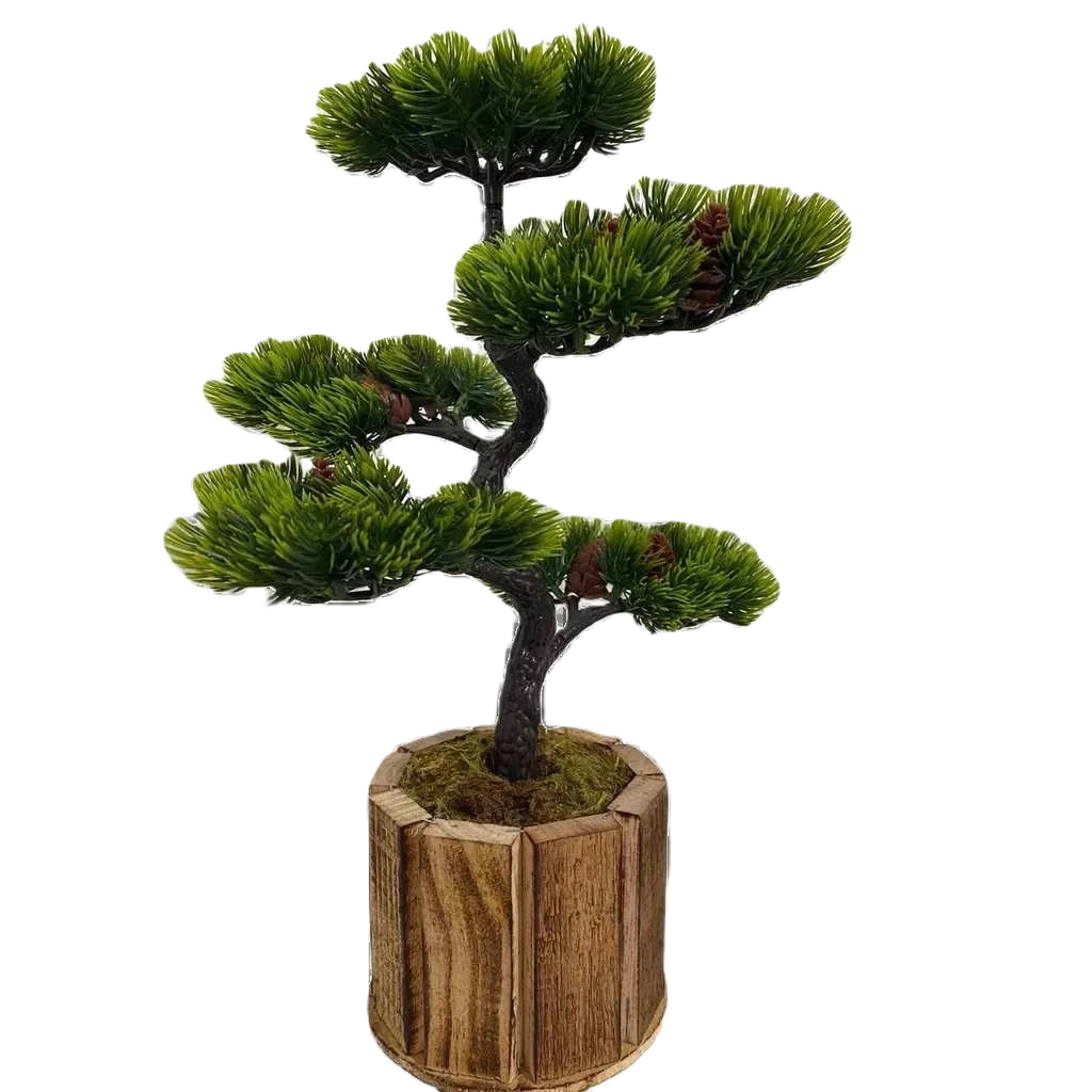 Bonsai Tsuki Aka Ambiencci (Agora com novos vasos exclusivos Ambiencci)