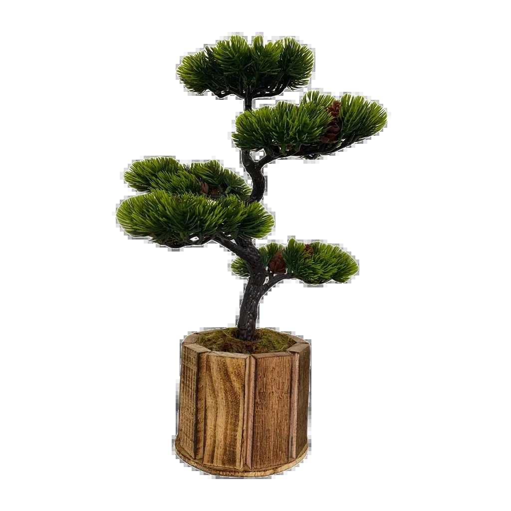 Bonsai Tsuki Aka Ambiencci (Agora com novos vasos exclusivos Ambiencci)