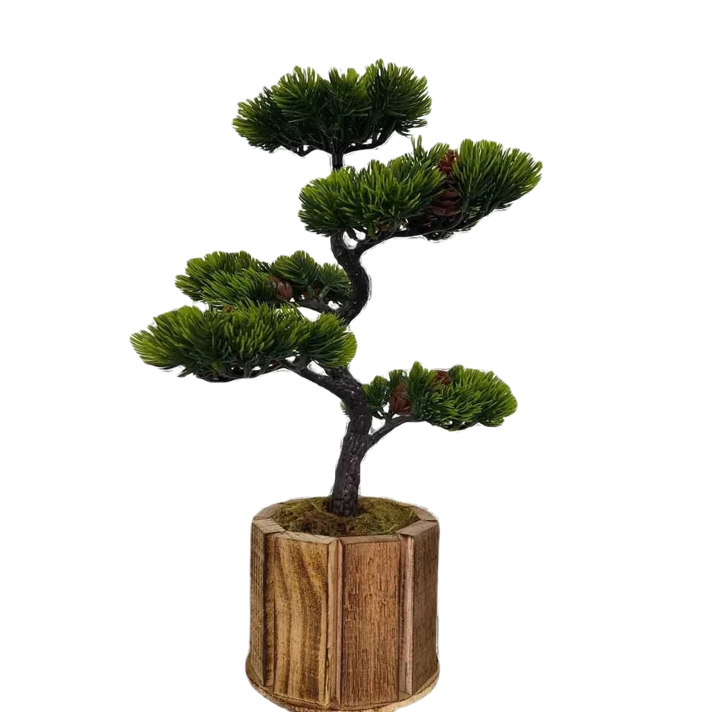 Bonsai Tsuki Aka Ambiencci (Agora com novos vasos exclusivos Ambiencci)