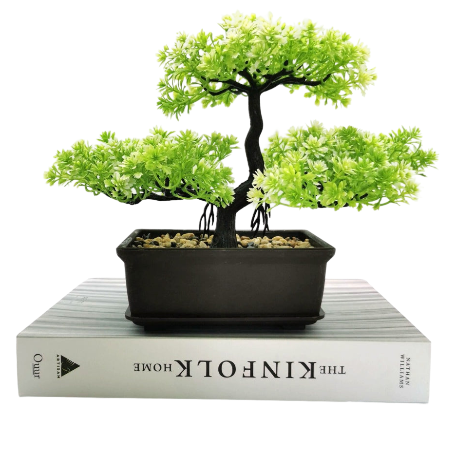 a green bonsai tree sitting on top of a book