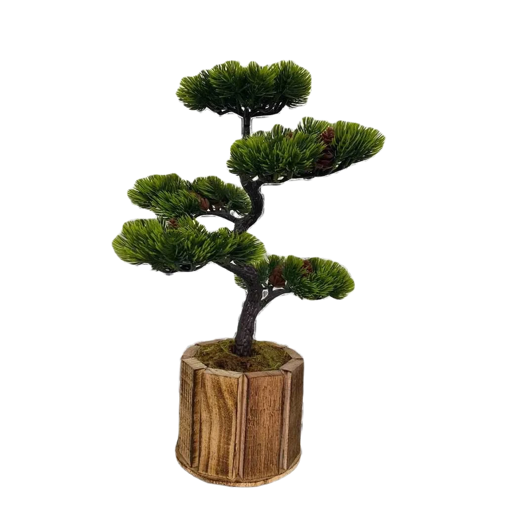 Bonsai Tsuki Aka Ambiencci (Agora com novos vasos exclusivos Ambiencci)