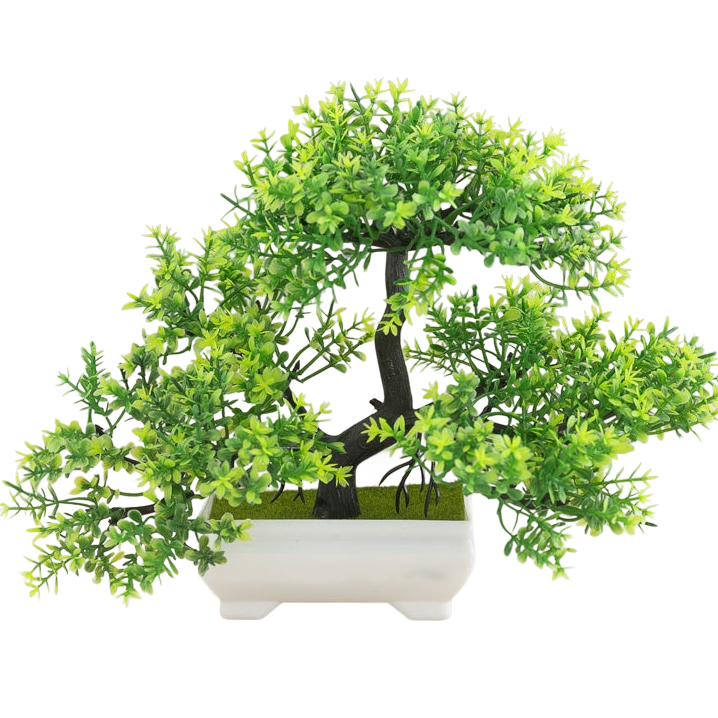 a potted plant with green leaves on a black background