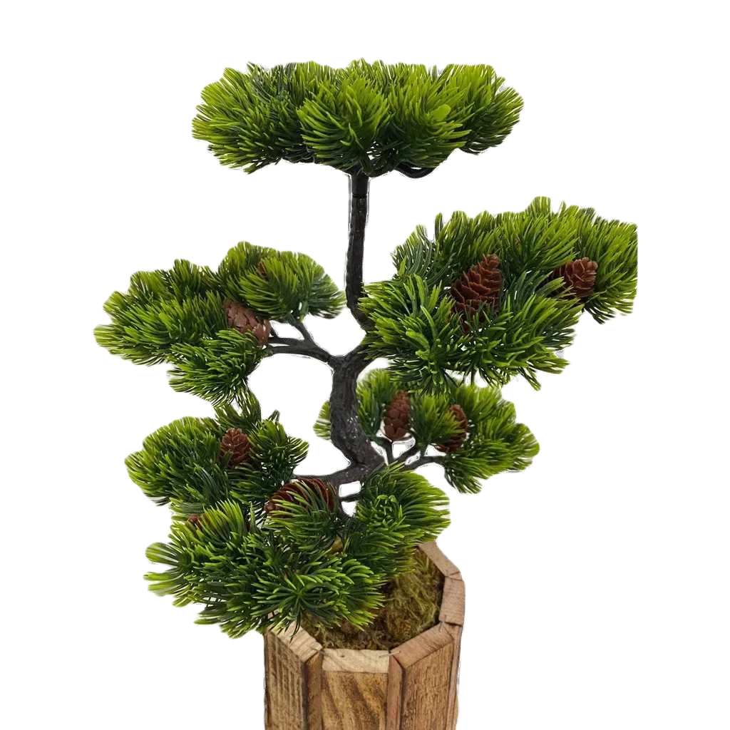 Bonsai Tsuki Aka Ambiencci (Agora com novos vasos exclusivos Ambiencci)