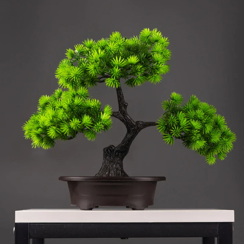 Bonsai Pine Tree Decoration - Ambiencci