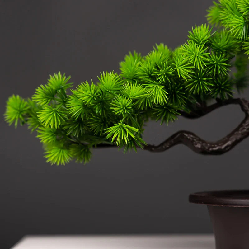 Bonsai Pine Tree Decoration - Ambiencci