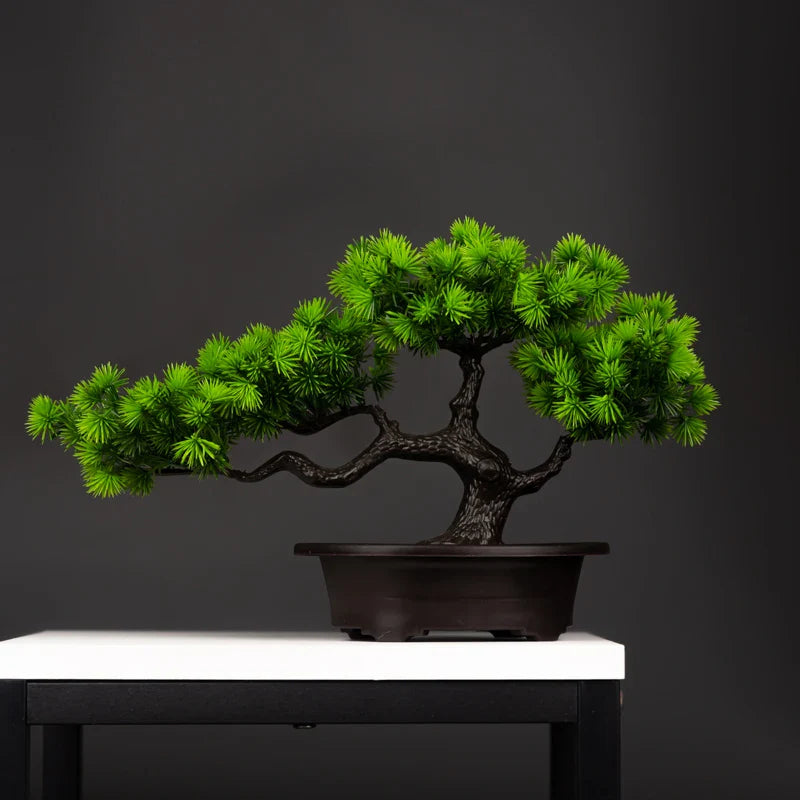 Bonsai Pine Tree Decoration - Ambiencci