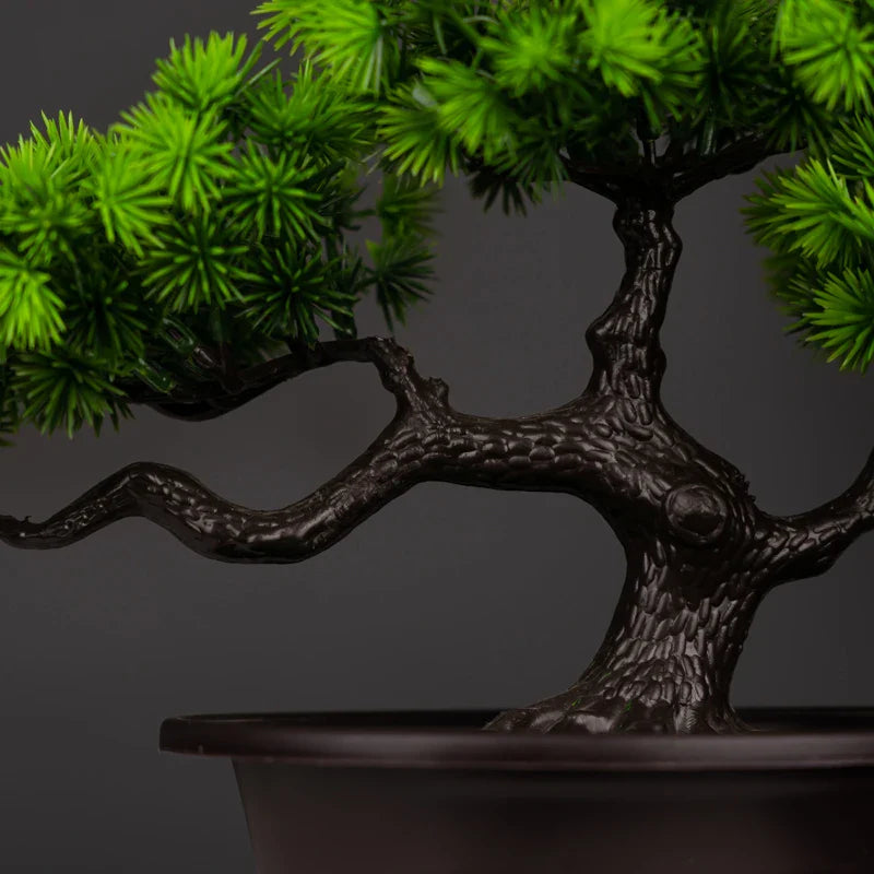 Bonsai Pine Tree Decoration - Ambiencci