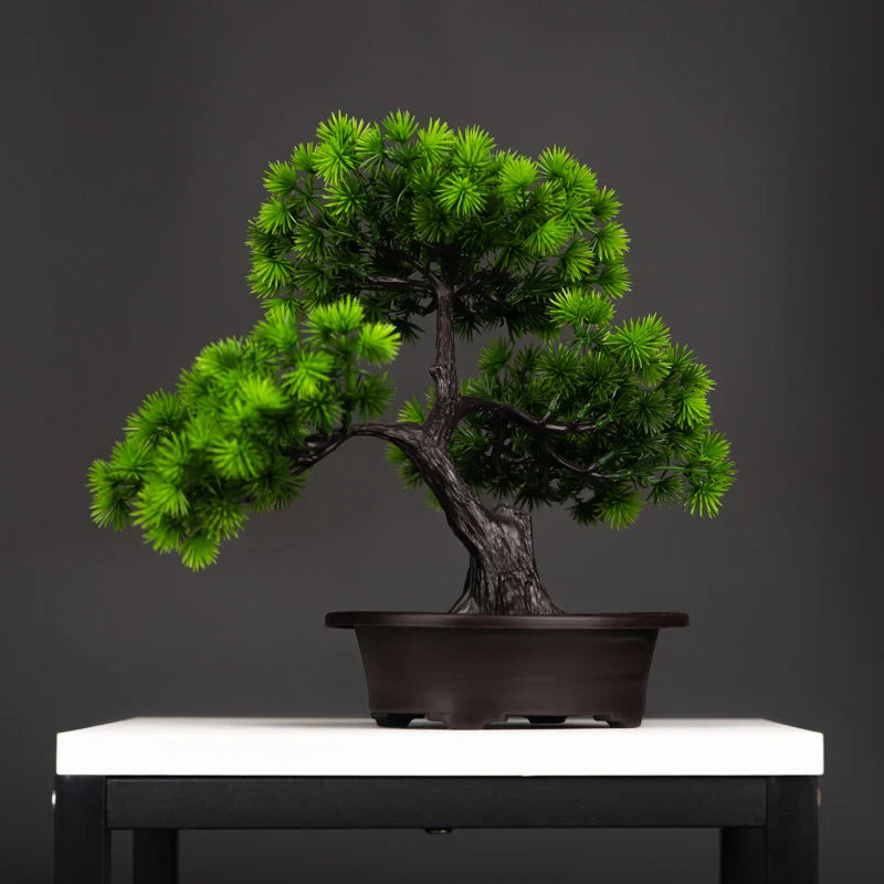 Bonsai Pine Tree Decoration - Ambiencci