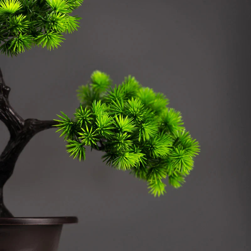 Bonsai Pine Tree Decoration - Ambiencci