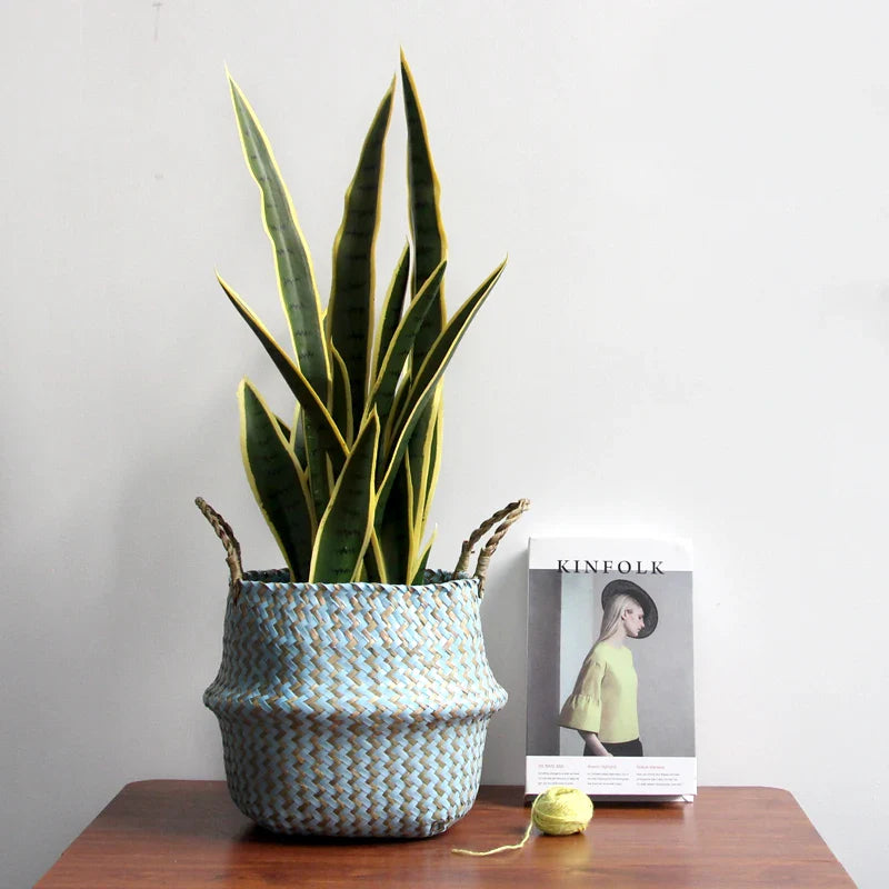 a potted plant sitting on a table next to a magazine