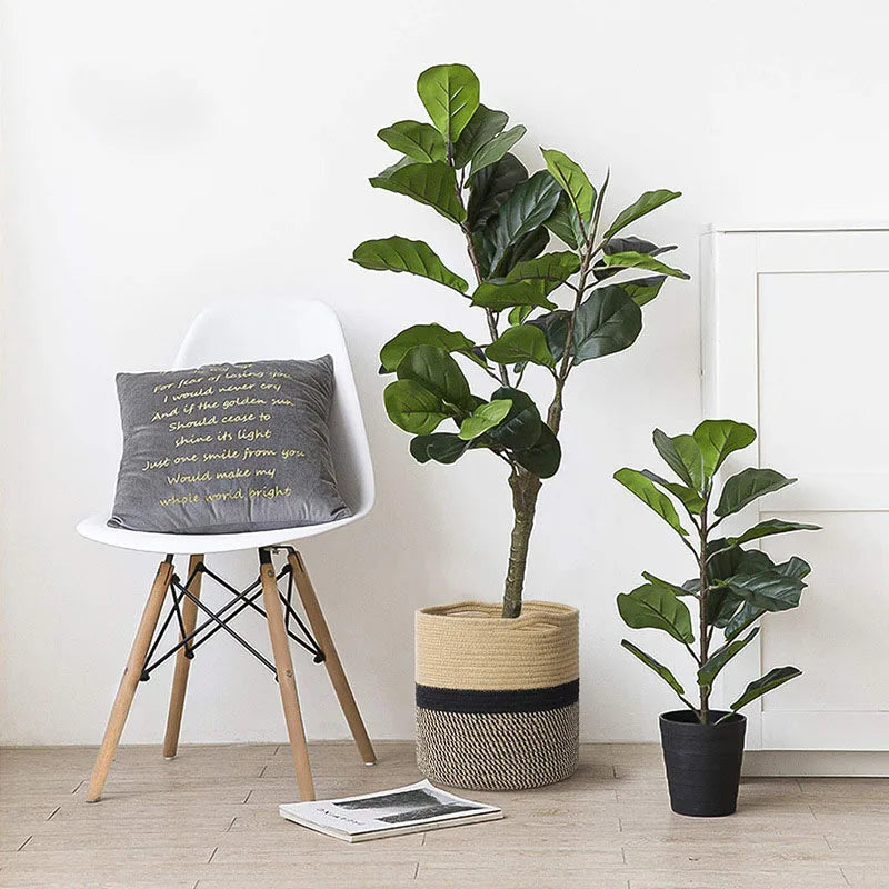 a white chair next to a potted plant