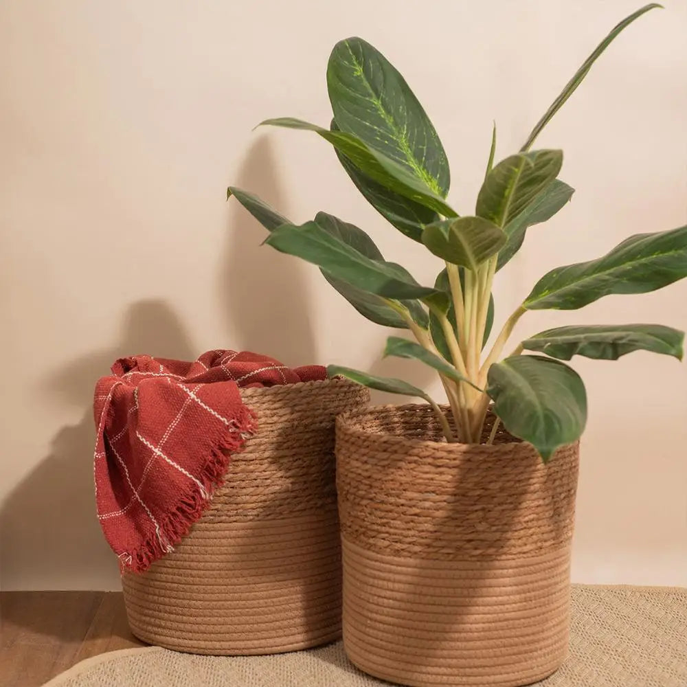 a potted plant sitting on top of a wooden table