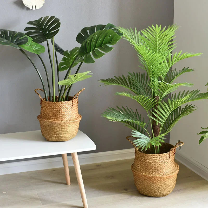 a couple of plants sitting on top of a white table