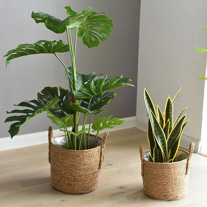 a couple of potted plants sitting on top of a wooden floor