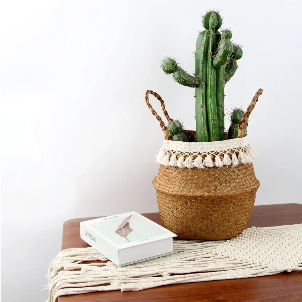 a cactus in a woven basket next to a box