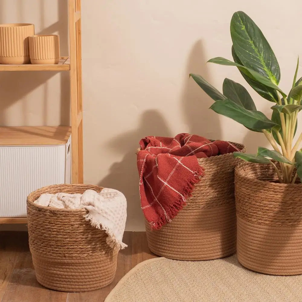 a potted plant sitting on top of a wooden floor