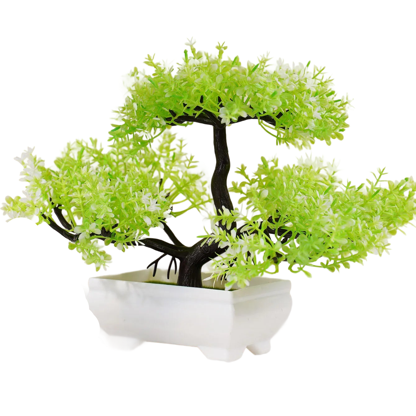 a bonsai tree in a white ceramic pot