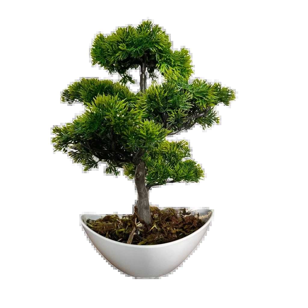 Bonsai Tsuki Aka Ambiencci (Agora com novos vasos exclusivos Ambiencci)