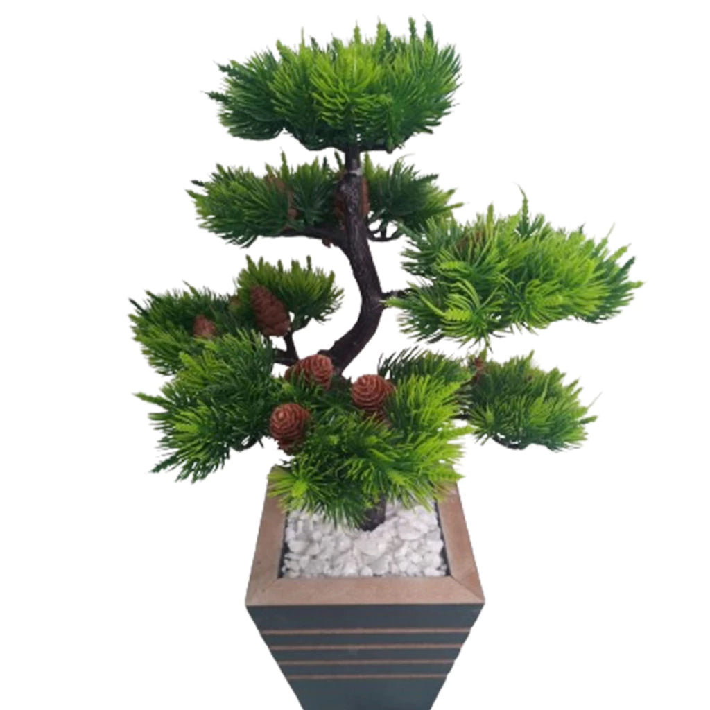 40 cm - Bonsai Pine Cone Ambiencci