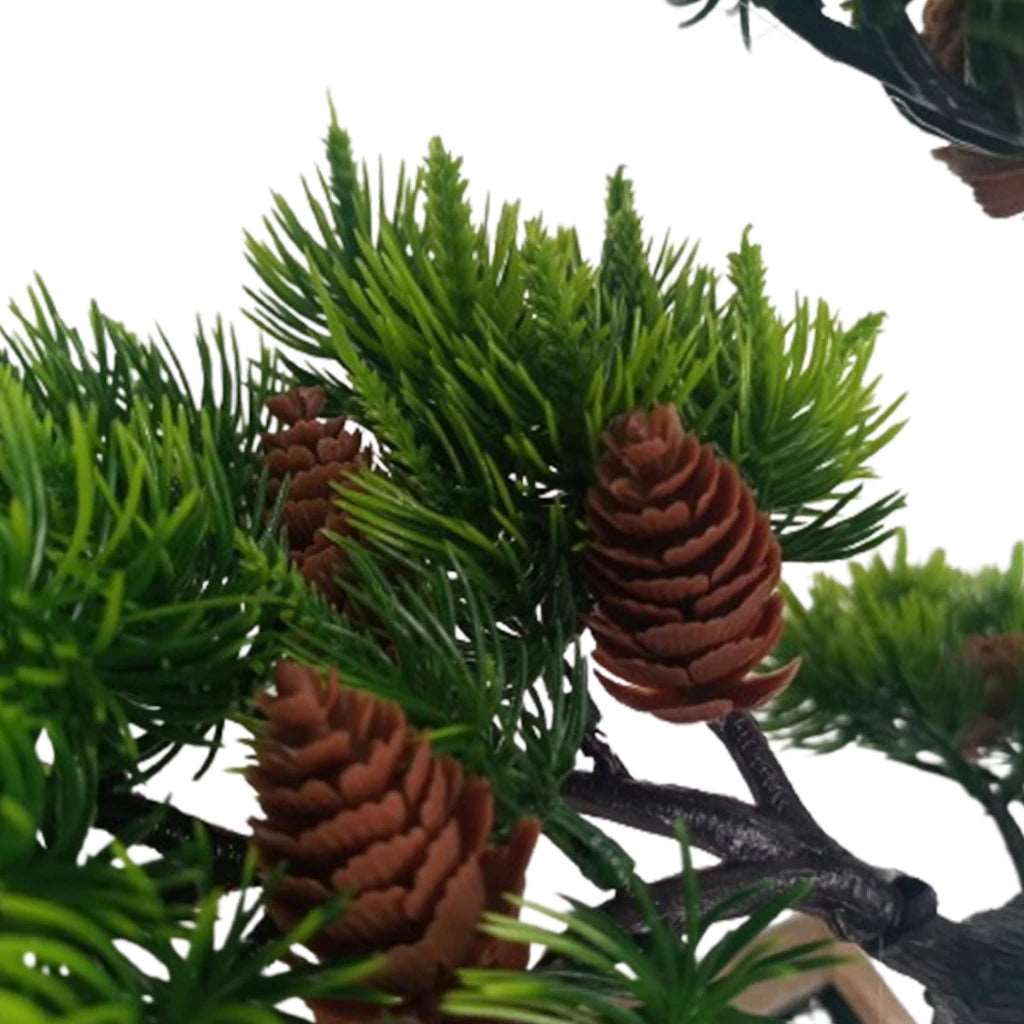 Bonsai Pine Cone Ambiencci