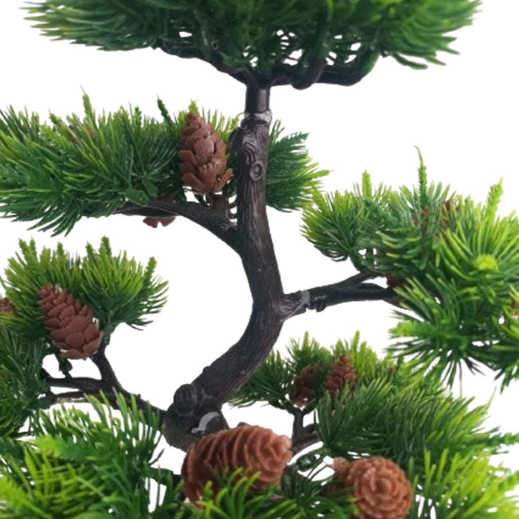 Bonsai Pine Cone Ambiencci