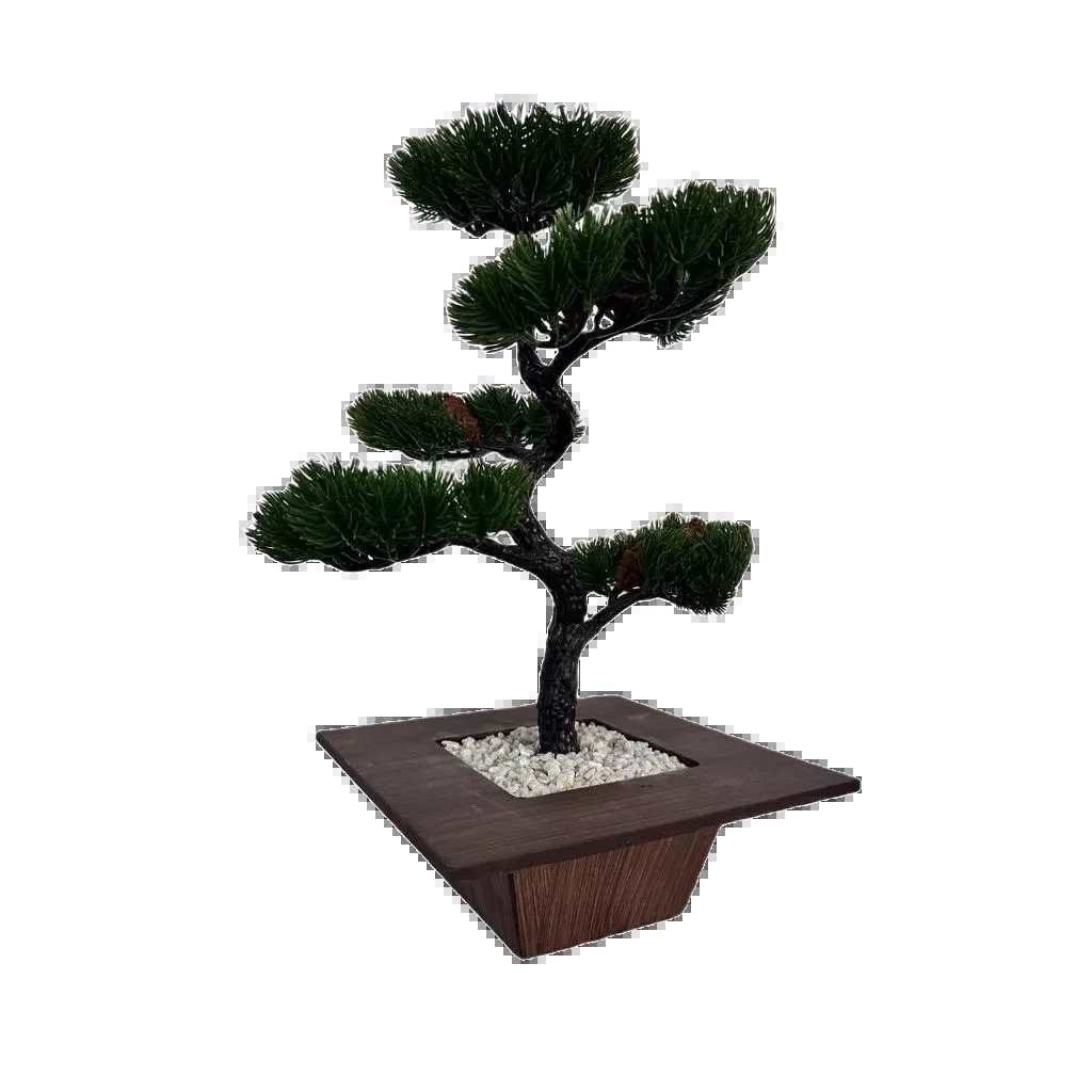 Bonsai Tsuki Aka Ambiencci (Agora com novos vasos exclusivos Ambiencci)