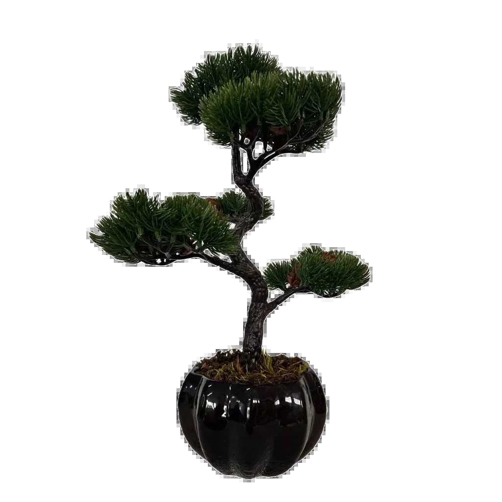 Bonsai Tsuki Aka Ambiencci (Agora com novos vasos exclusivos Ambiencci)