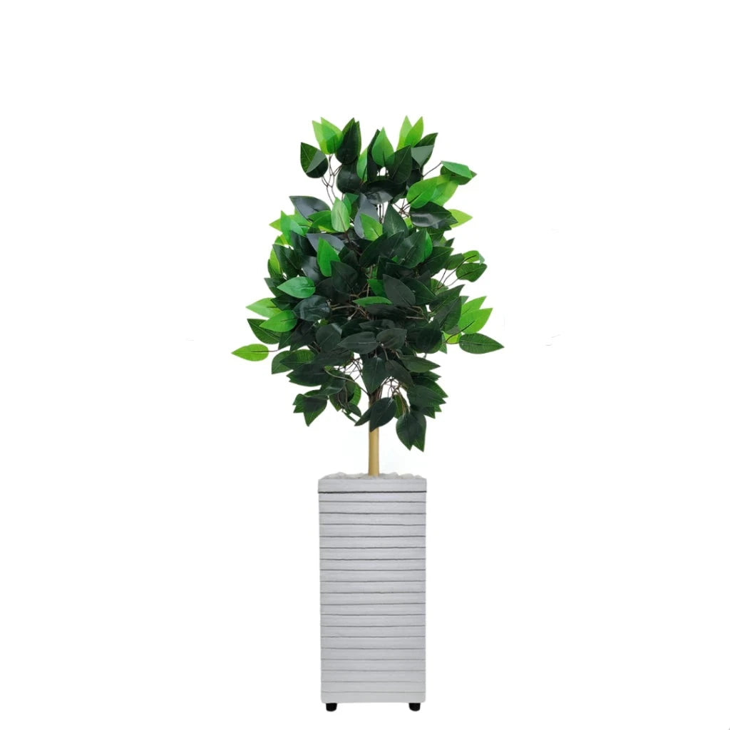 60 cm - Vaso Psulato Ambiencci (Planta Inclusa)