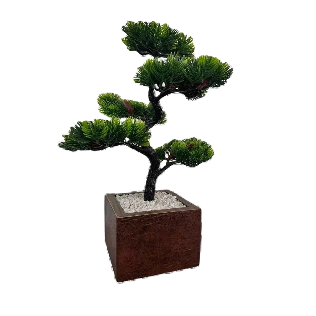 Bonsai Tsuki Aka Ambiencci (Agora com novos vasos exclusivos Ambiencci)