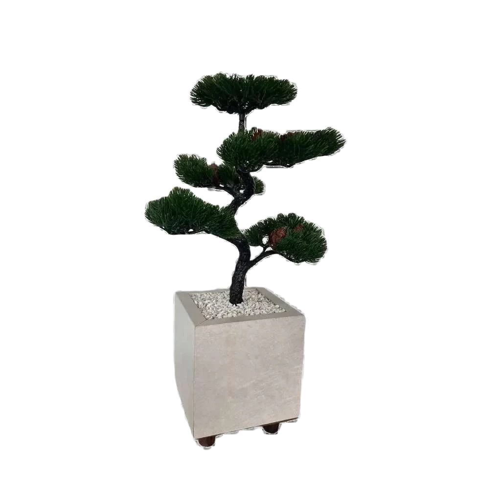 Bonsai Tsuki Aka Ambiencci (Agora com novos vasos exclusivos Ambiencci)