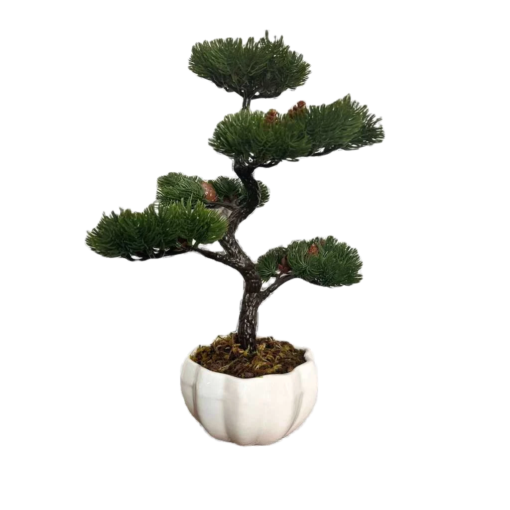 Bonsai Tsuki Aka Ambiencci (Agora com novos vasos exclusivos Ambiencci)