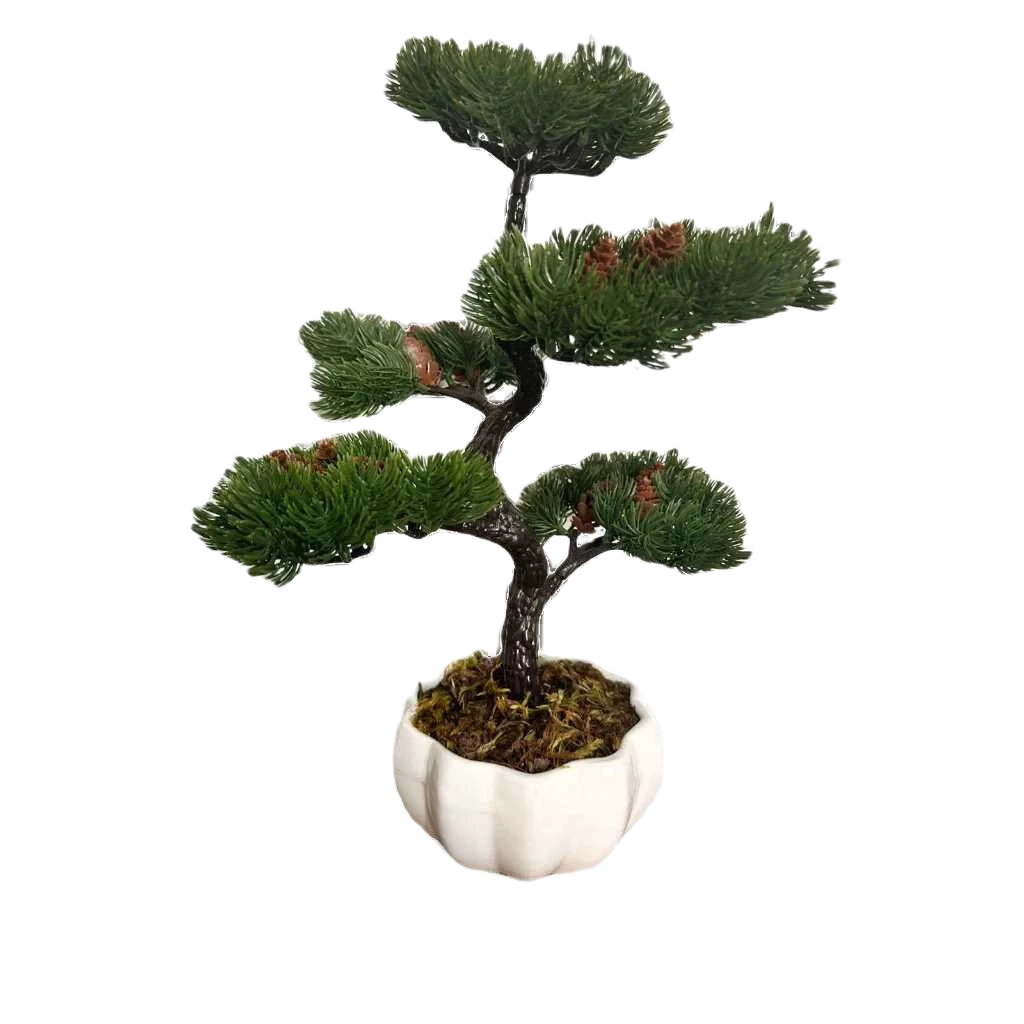 Bonsai Tsuki Aka Ambiencci (Agora com novos vasos exclusivos Ambiencci)