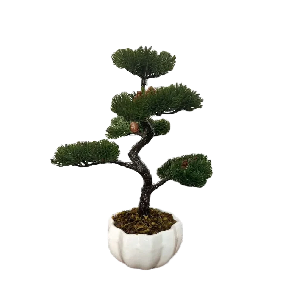 Bonsai Tsuki Aka Ambiencci (Agora com novos vasos exclusivos Ambiencci)