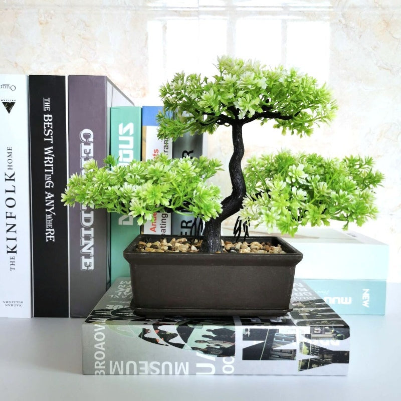 29 cm - Pine Bonsai Plant - Perfect for Home Dcor