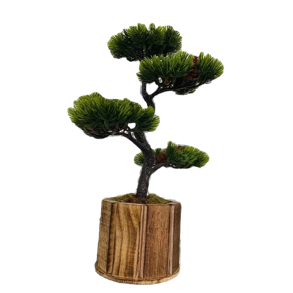 Bonsai Tsuki Aka Ambiencci (Agora com novos vasos exclusivos Ambiencci)