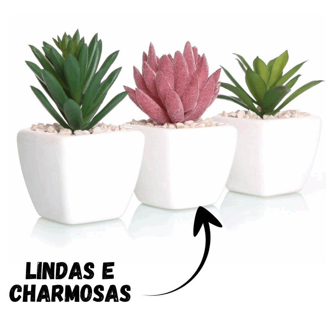 Vasinhos Para Suculentas Mini Pequenos Branco Quadrado Zana